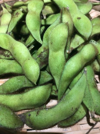 2018928edamame2.jpg