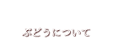 ぶどうについて