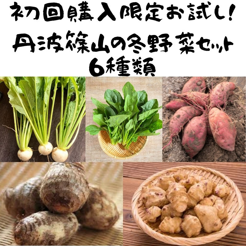 一時受付停止中 波篠山の冬野菜セット 6種類 高級ぶどう 丹波黒枝豆の通販サイト 丹波篠山ひなたファーム 一時受付停止中 波篠山の冬野菜セット 6種類 高級ぶどう 丹波黒枝豆の通販サイト 丹波篠山ひなたファーム