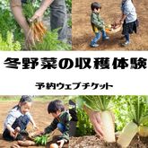 冬の丹波篠山で冬野菜収穫体験 予約ウェブチケット