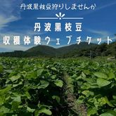 【受付中】黒枝豆の収穫体験予約ウェブチケット