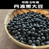【販売中】令和６年|丹波黒大豆|現在発送中