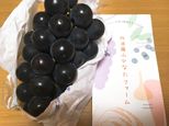 葡萄、待ちに待った甲斐がありました！！